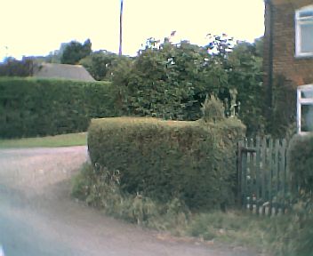 The excrescence on the top of the hedge is the beginnings of a topiary mushroom. The loke is that bit of roadway diving past the hedge on the left of the picture.